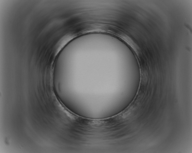 X0000097591290200803071312