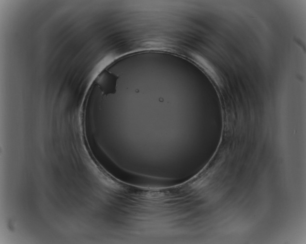 X0000097591291200803071312