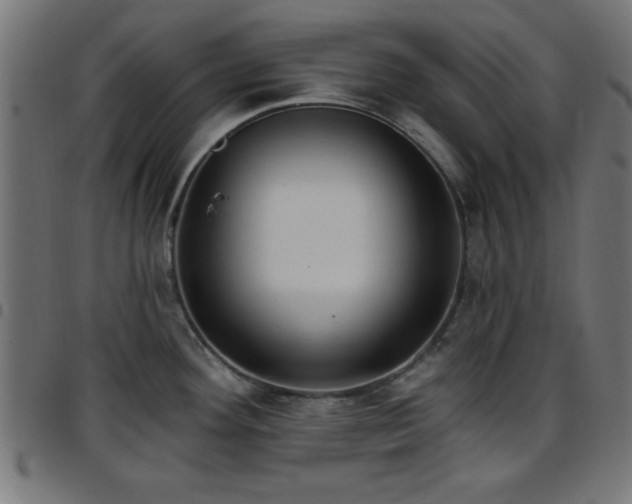 X0000097591292200803071312