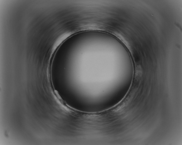 X0000097591293200803071312