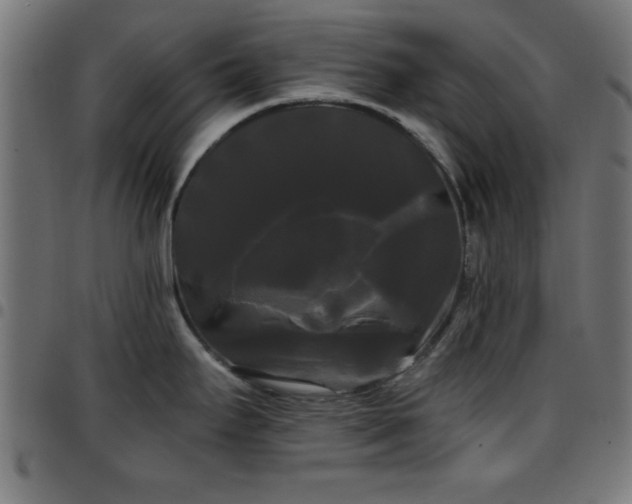 X0000097591295200803071312