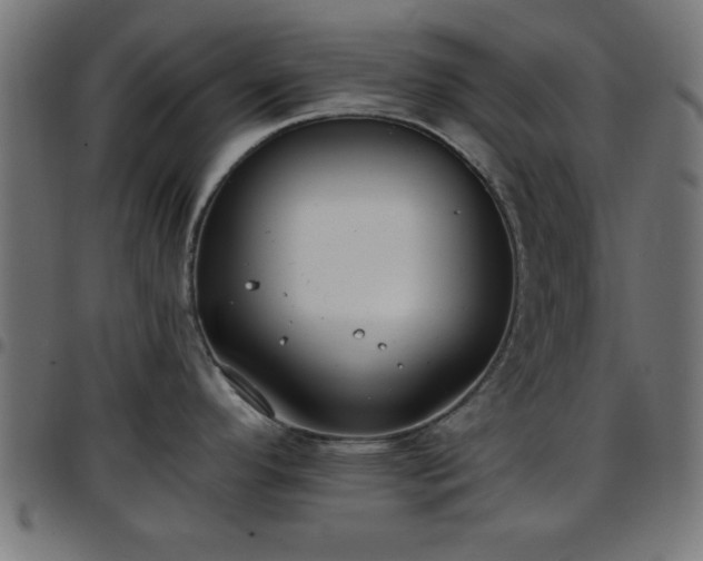 X0000097591296200803071312