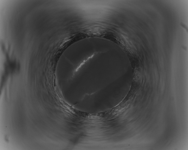 X0000097591297200803071311