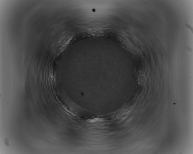 X0000097591298200803071311