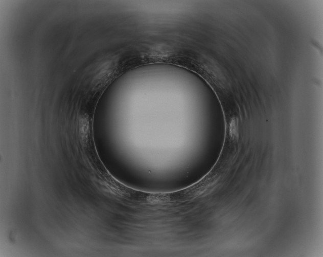 X0000097591299200803071311