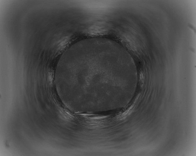 X0000097591300200803071311