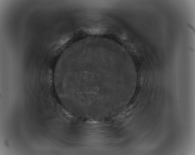 X0000097591301200803071311