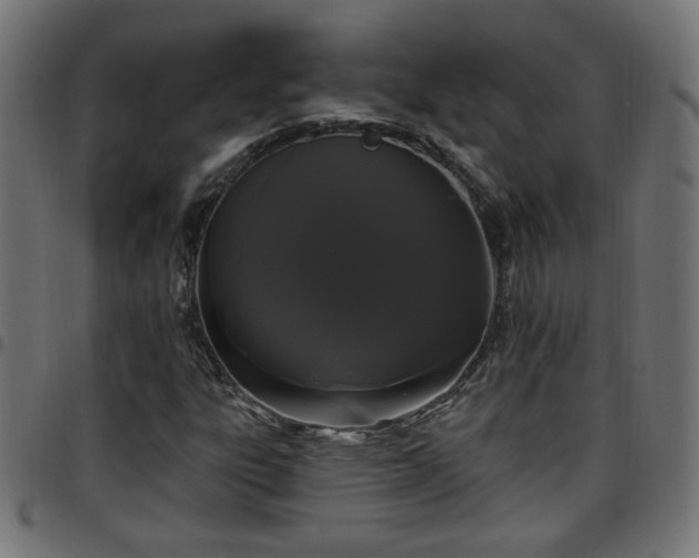 X0000097591303200803071311