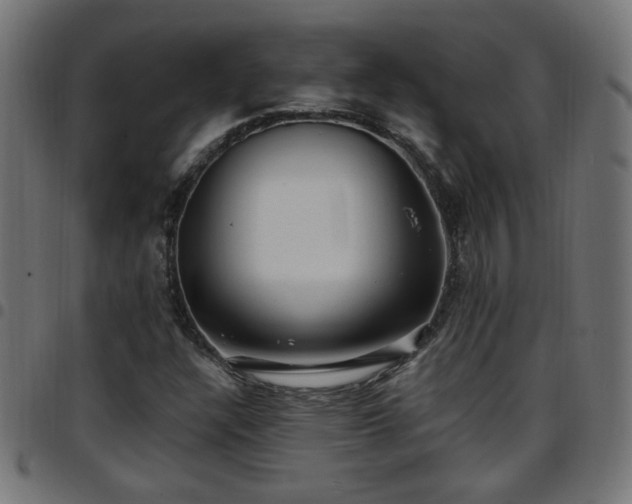 X0000097591304200803071311