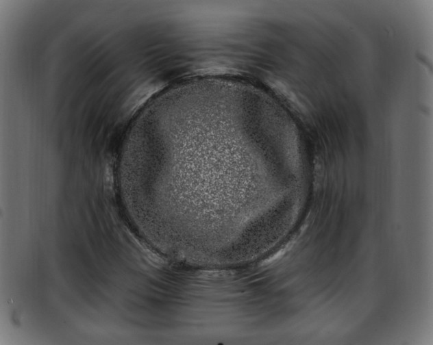 X0000097591305200803071311
