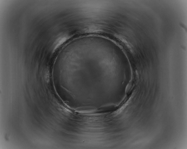 X0000097591306200803071311