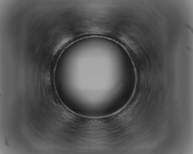 X0000097591307200803071311