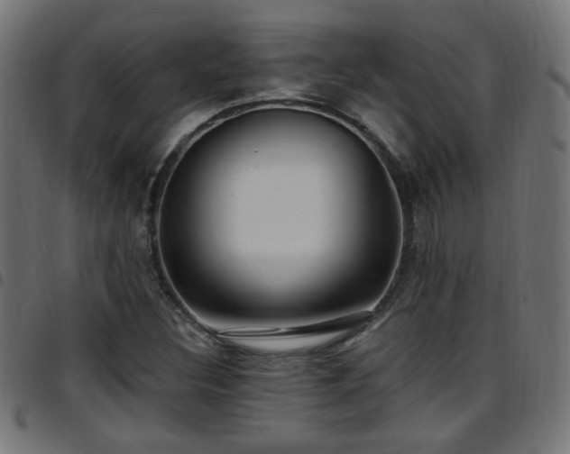 X0000097591308200803071311