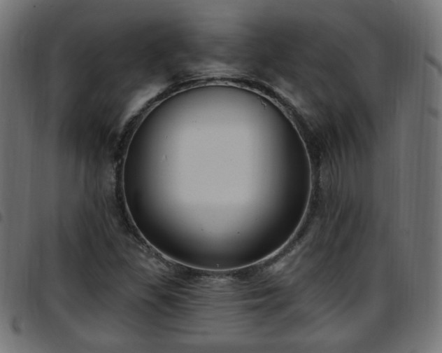 X0000097591309200803071312