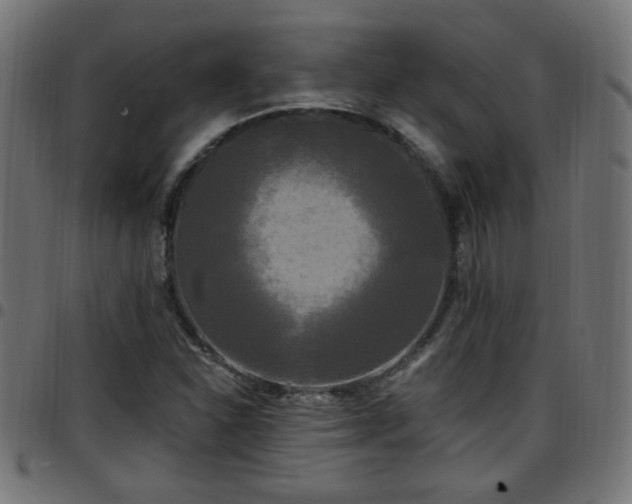 X0000097591310200803071312