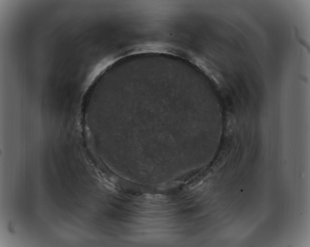 X0000097591312200803071312