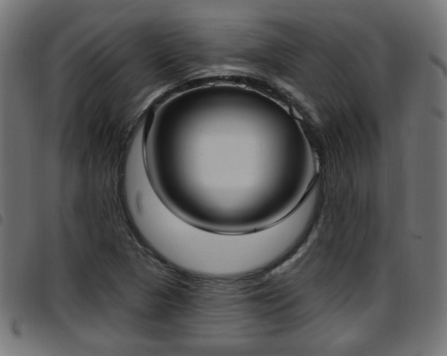 X0000097591313200803071312