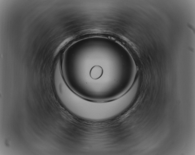 X0000097591314200803071312