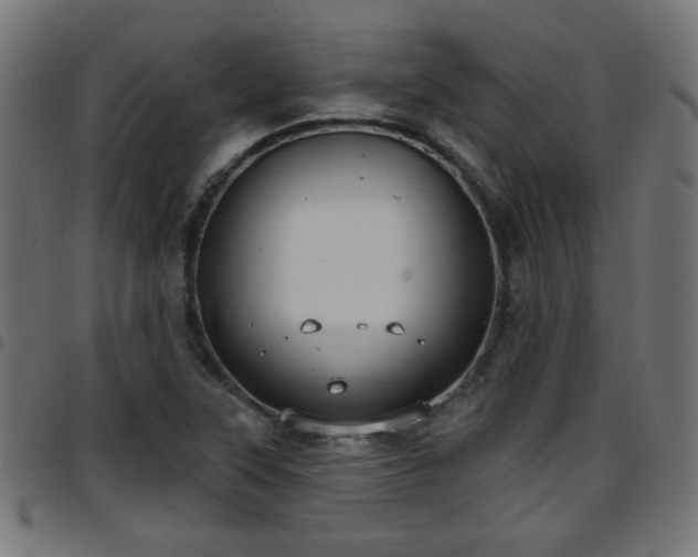 X0000097591315200803071312