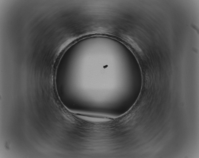 X0000097591316200803071312