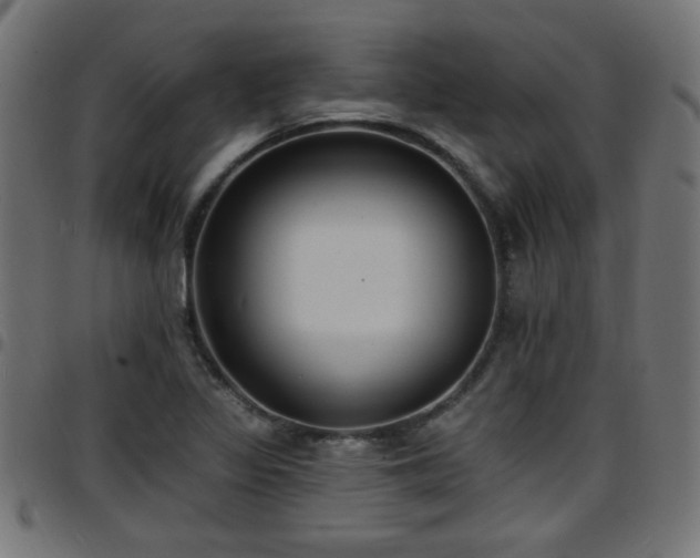 X0000097591317200803071312