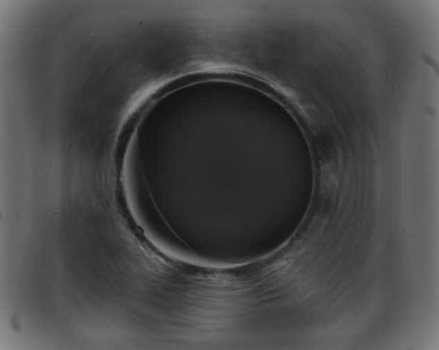 X0000097591319200803071312