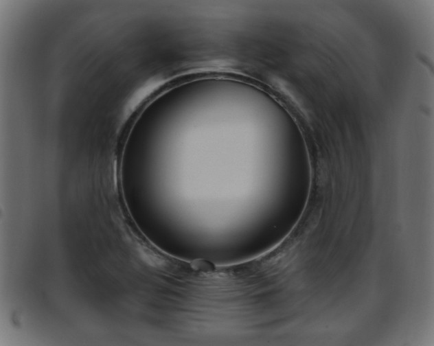 X0000097591320200803071312