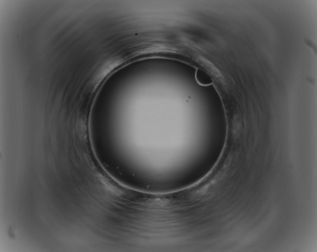 X0000097591321200803071312