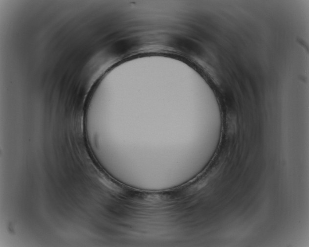 X0000097591322200803071312