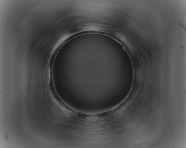 X0000097591323200803071312