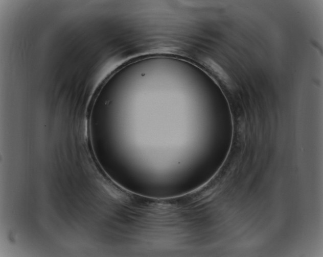 X0000097591324200803071312