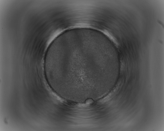 X0000097591325200803071312