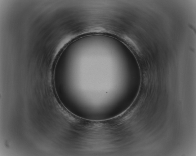 X0000097591326200803071312