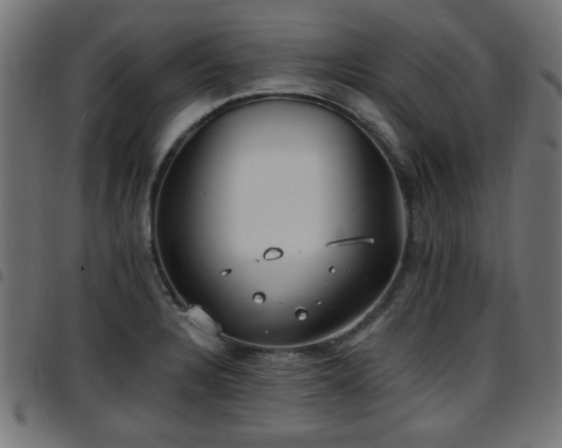 X0000097591328200803071312