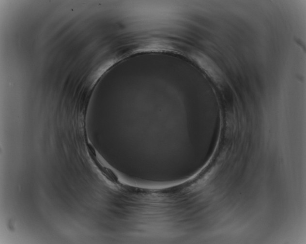 X0000097591329200803071312