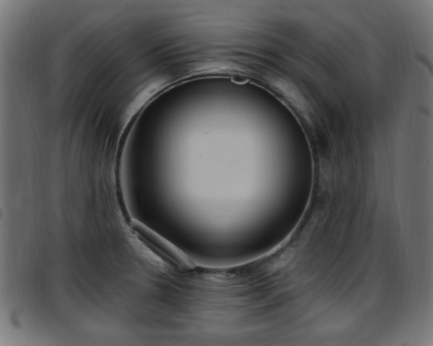 X0000097591330200803071312