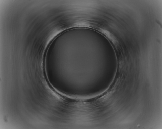 X0000097591331200803071312