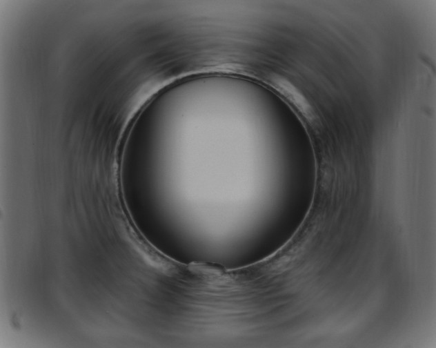 X0000097591332200803071312