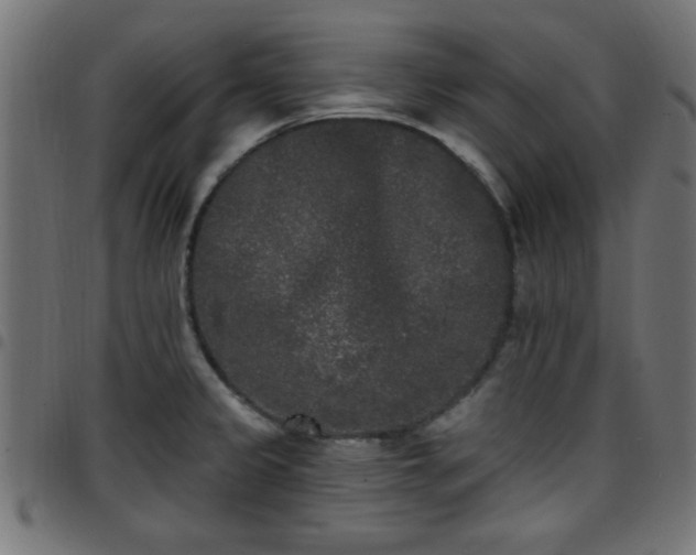 X0000097591333200803071312