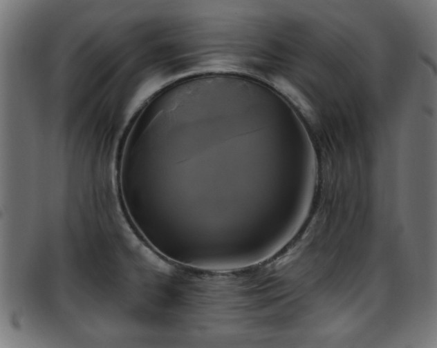 X0000097591334200803071312