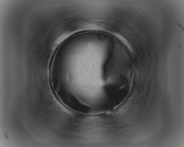 X0000097591335200803071312