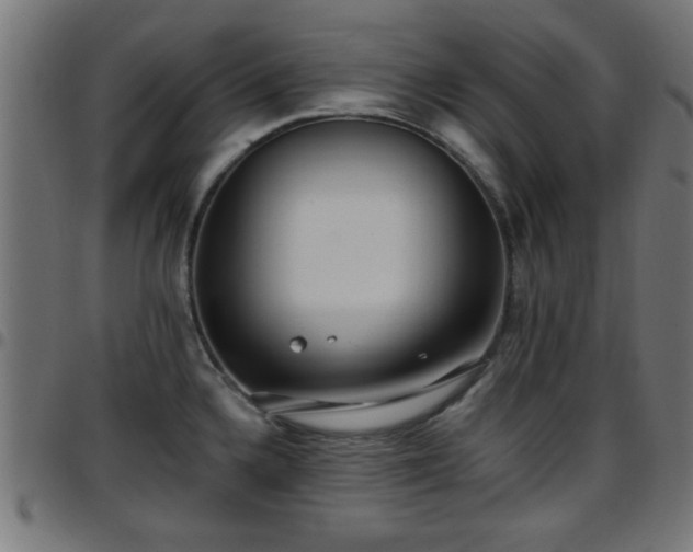 X0000097591336200803071312