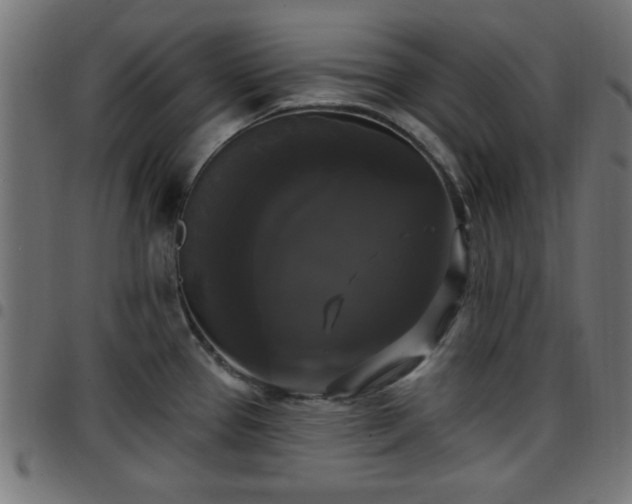 X0000097591337200803071312