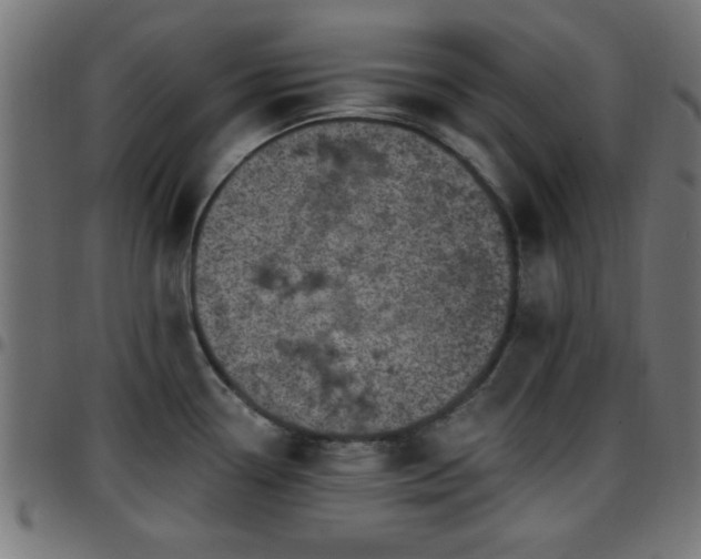 X0000097591338200803071312