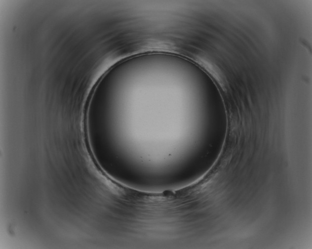 X0000097591339200803071312