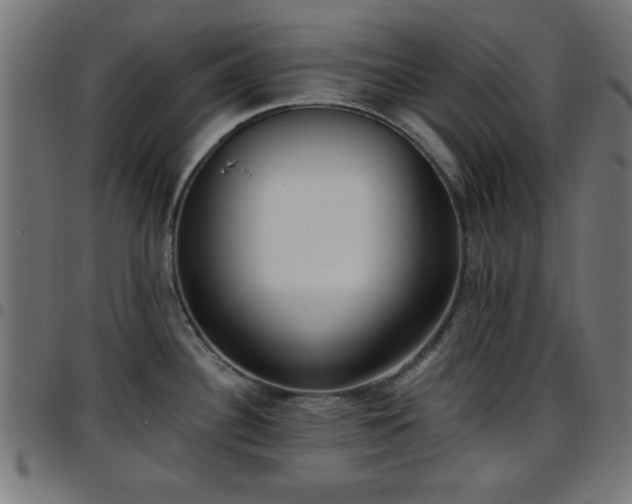 X0000097591340200803071312