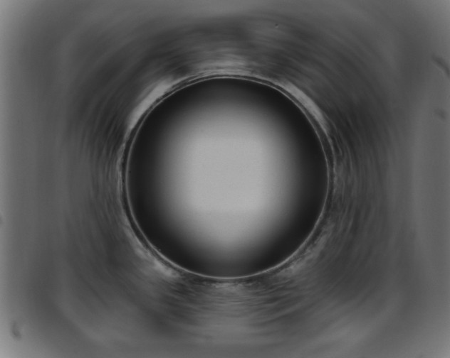 X0000097591341200803071312