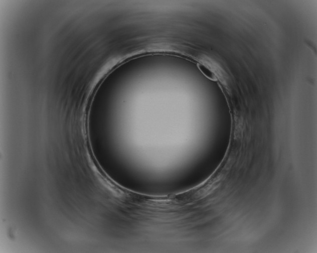 X0000097591342200803071312