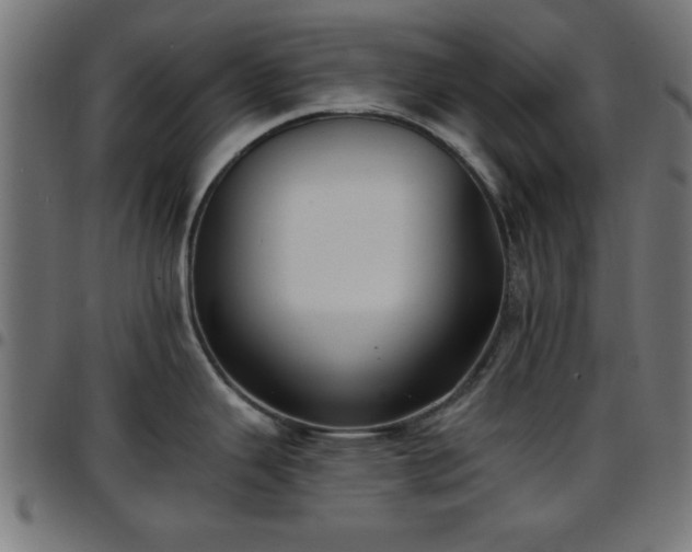 X0000097591343200803071312