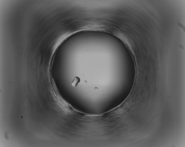 X0000097591344200803071312